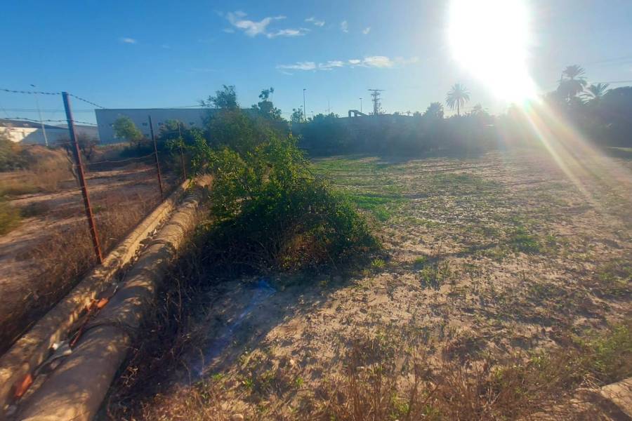 Пляж / Перепродажа - h - Matola - Algoda-Matola-Llano de San José