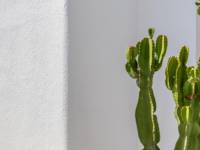 Återförsäljning / Strand - V - San Fulgencio - San Fulgencio - Town