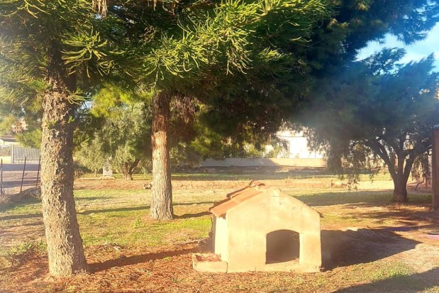 Пляж / Перепродажа - h - Matola - Algoda-Matola-Llano de San José