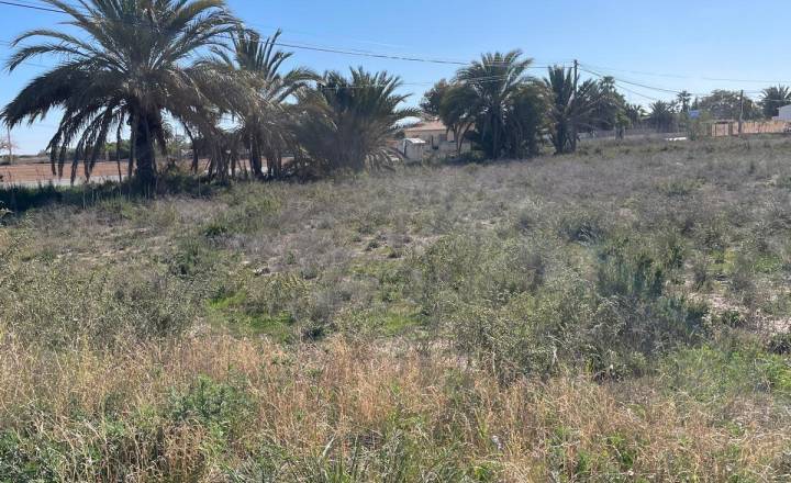 c - Playa/Reventa - La hoya - La Hoya-Daimes-El Derramador