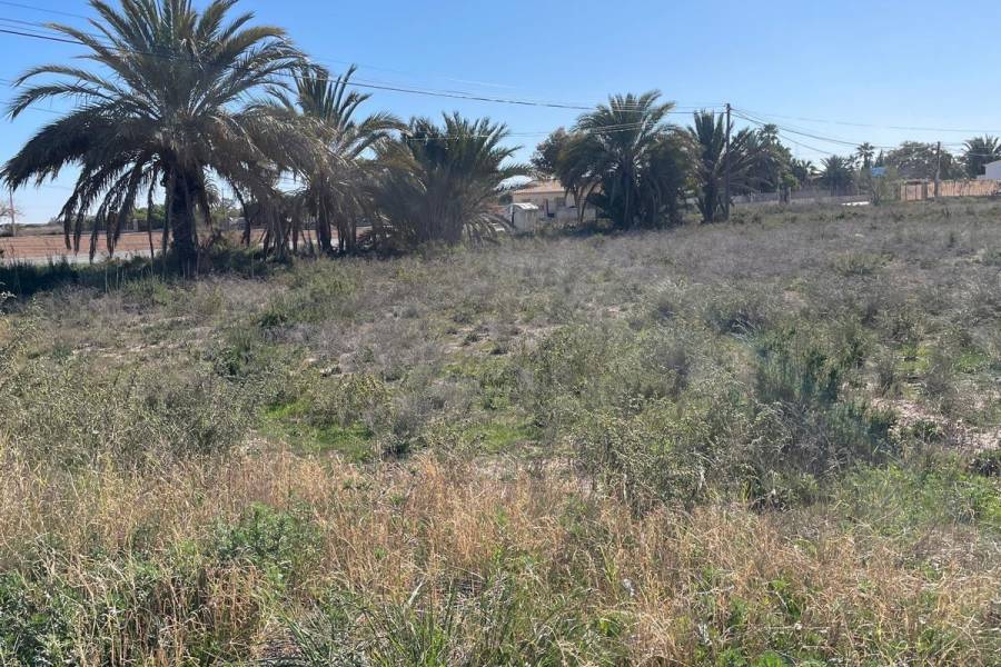 Playa/Reventa - c - La hoya - La Hoya-Daimes-El Derramador