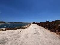 Weiterverkauf / Strand - c - Elche pedanias - TORRELLANO