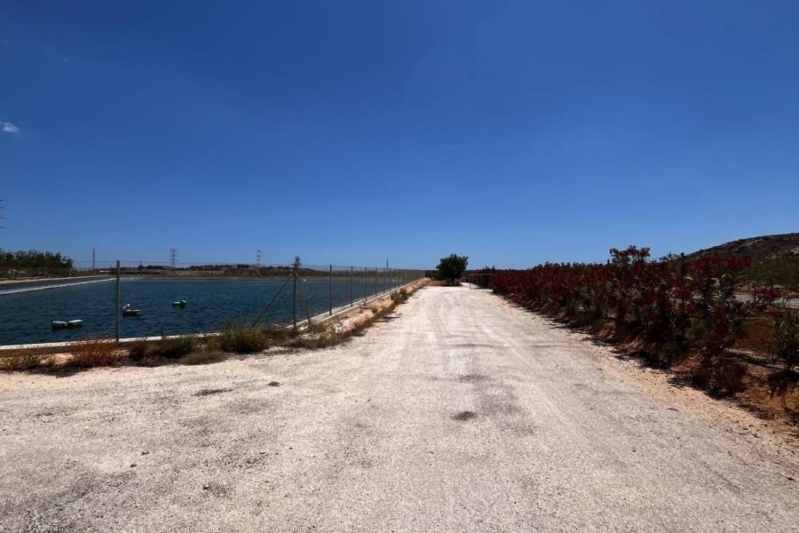 Weiterverkauf / Strand - c - Elche pedanias - TORRELLANO