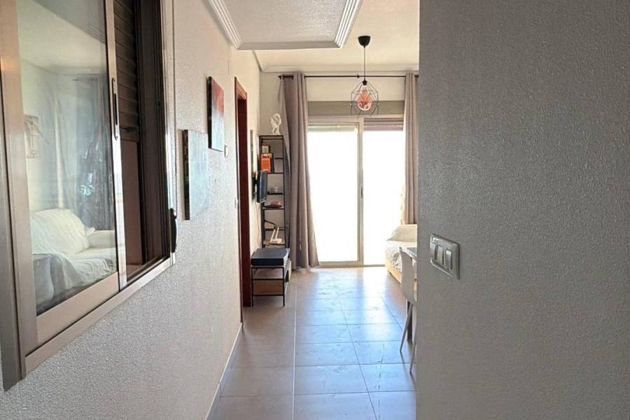 Playa/Reventa - A - Guardamar del Segura - Guardamar Playa