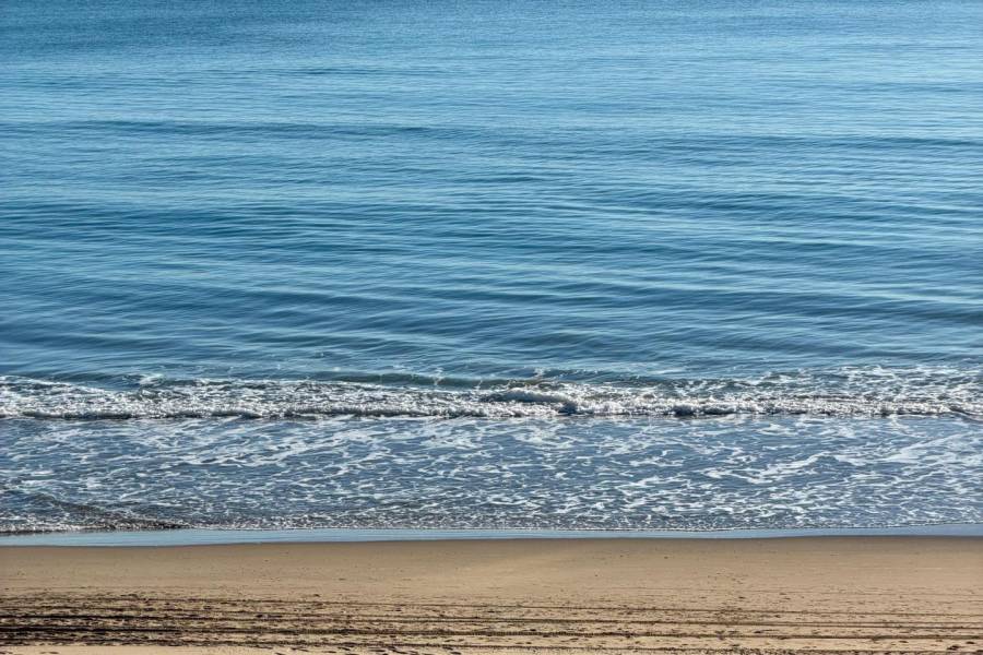 Playa/Reventa - A - Guardamar del Segura - Guardamar Playa