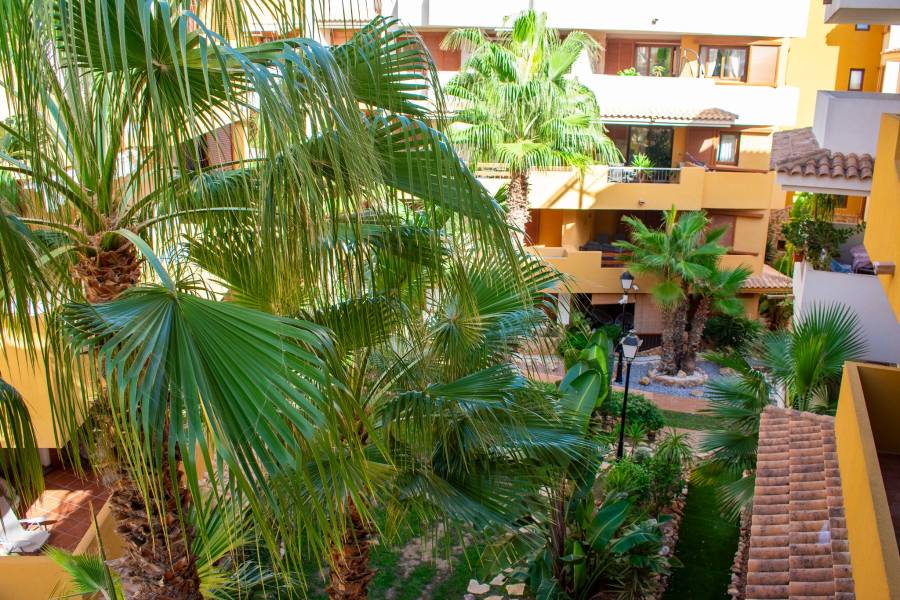 Пляж / Перепродажа - Apartment - Torrevieja - Punta Prima