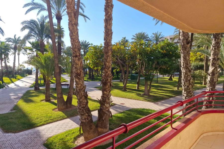 Beach/Resale - Apartment - Torrevieja - Playa Los Locos