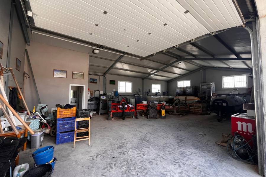 Weiterverkauf / Strand - c - Elche pedanias - TORRELLANO