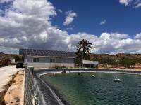 Weiterverkauf / Strand - c - Elche pedanias - TORRELLANO