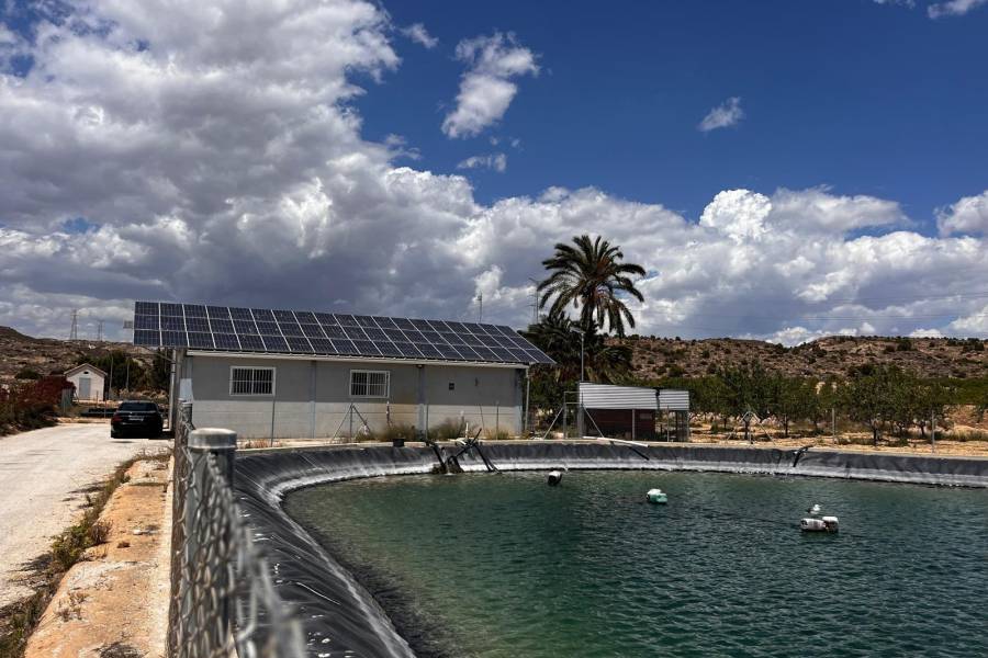 Weiterverkauf / Strand - c - Elche pedanias - TORRELLANO