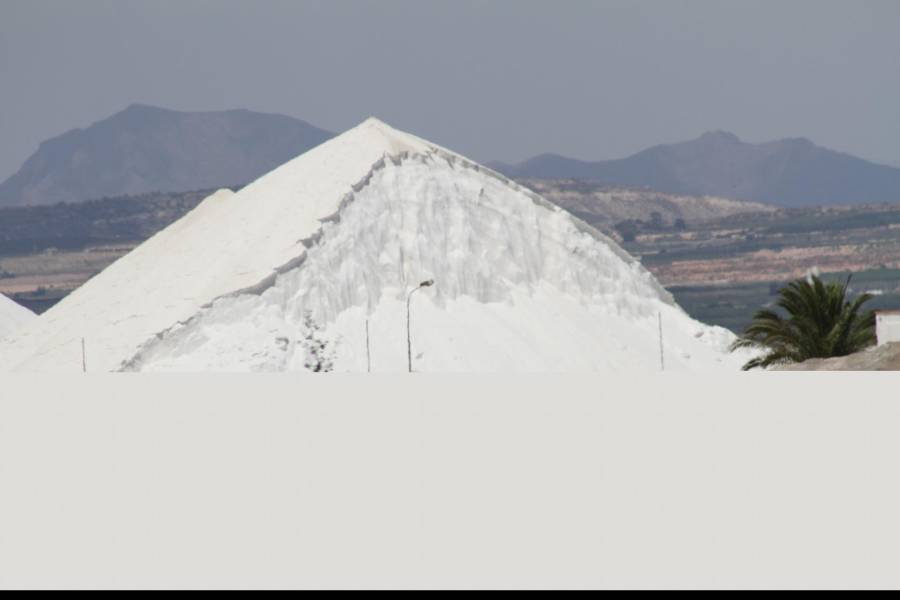 Playa/Reventa - A - Santa Pola - Tamarit