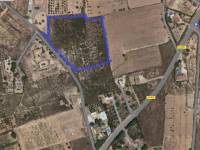 Beach/Resale - Country House - Elche - Balsares