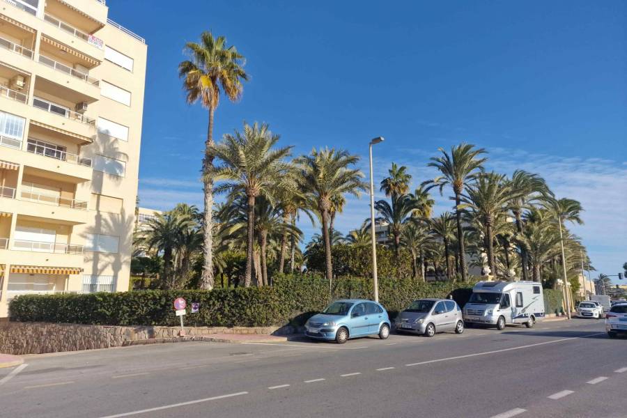 Beach/Resale - Apartment - Torrevieja - Playa Los Locos