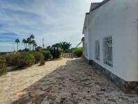 Пляж / Перепродажа - V - Elche pedanias - Peña las Aguilas