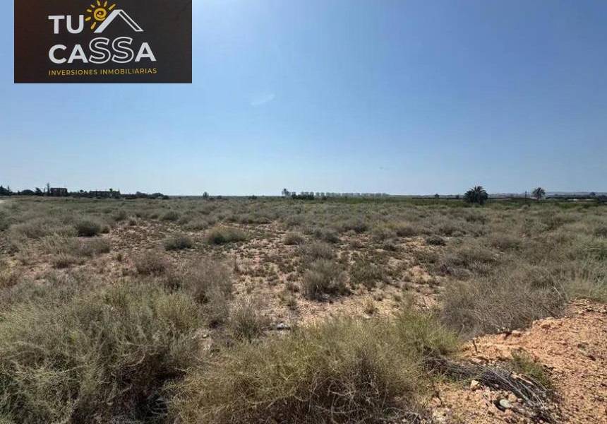 Playa/Reventa - c - El altet - El Altet - Balsares