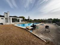 Playa/Reventa - V - Elche pedanias - Valverde