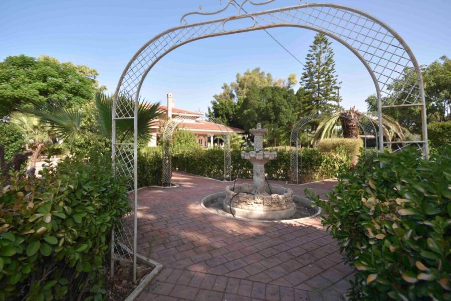 Пляж / Перепродажа - V - Orihuela - Camino Viejo de Callosa