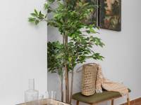 Playa/Reventa - A - Guardamar del Segura - Pueblo