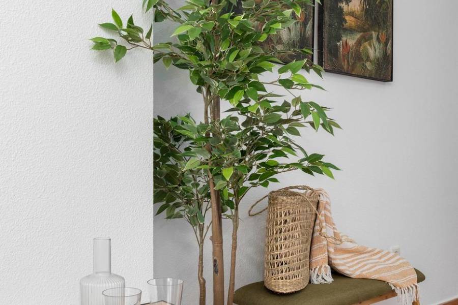 Playa/Reventa - A - Guardamar del Segura - Pueblo