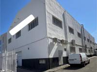 Playa/Reventa - I - Elche - San Crispín