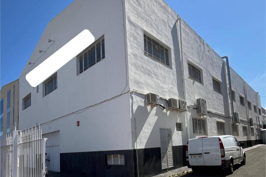 Playa/Reventa - I - Elche - San Crispín