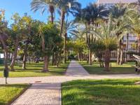 Beach/Resale - Apartment - Torrevieja - Playa Los Locos