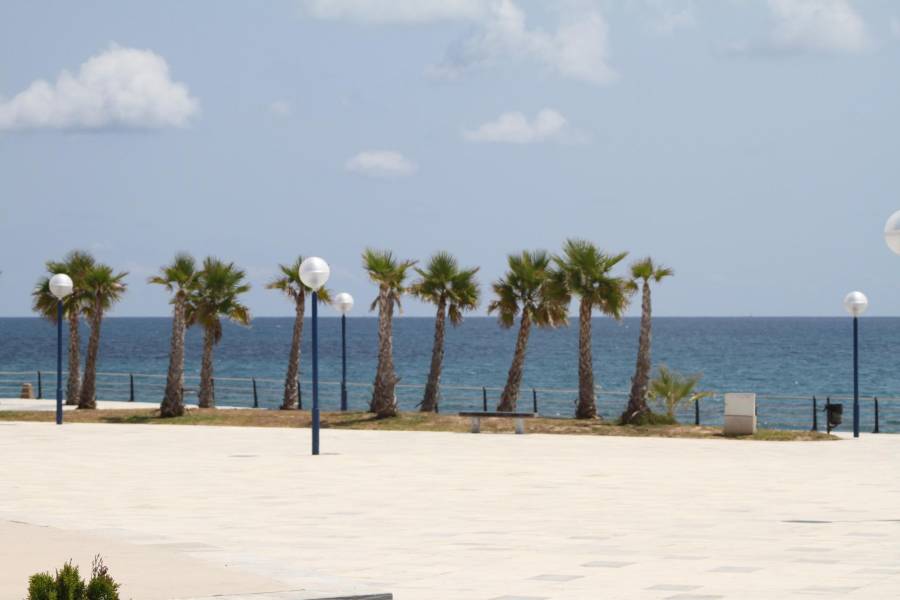 Playa/Reventa - A - Santa Pola - Tamarit