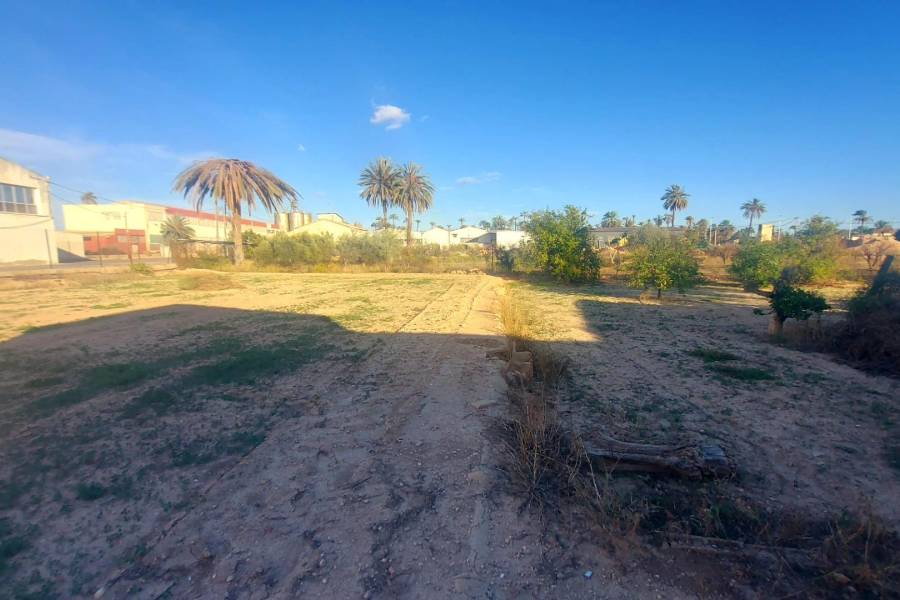 Пляж / Перепродажа - h - Matola - Algoda-Matola-Llano de San José