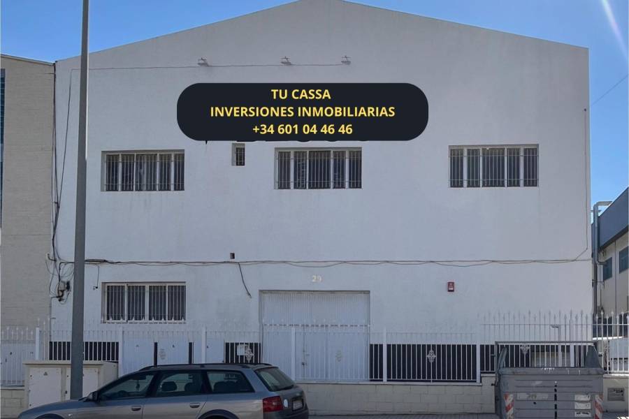 Playa/Reventa - I - Elche - San Crispín