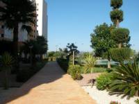 Återförsäljning / Strand - A - Guardamar del Segura - Puerto Deportivo