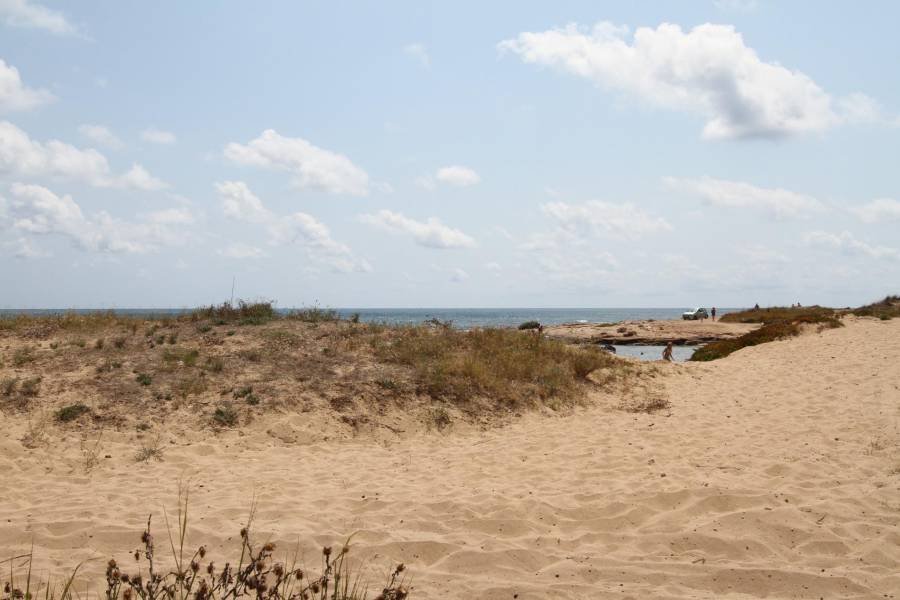 Playa/Reventa - A - Santa Pola - Tamarit