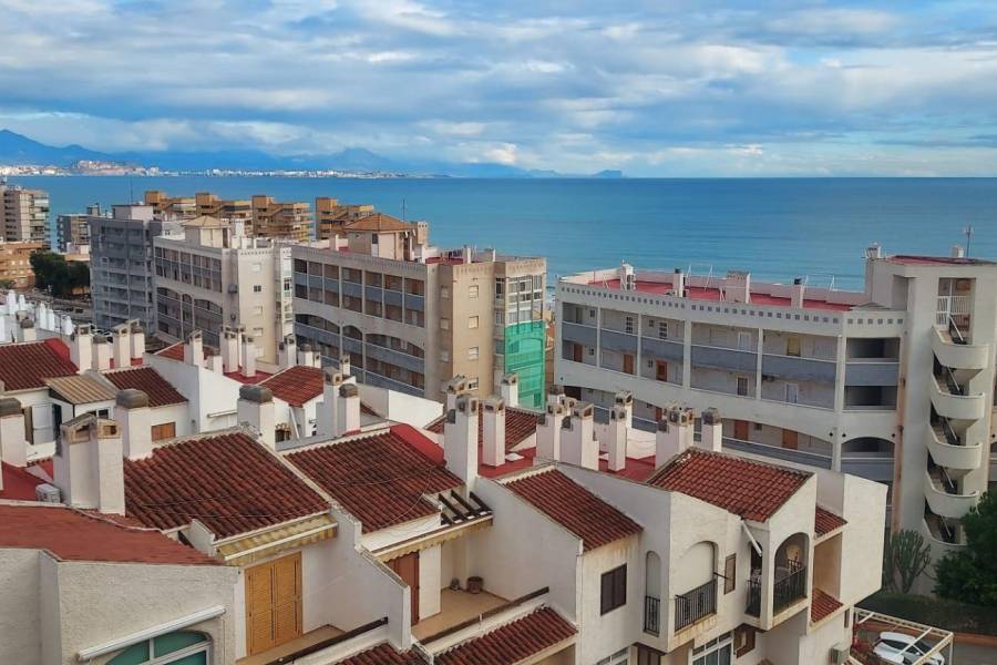 Playa/Reventa - A - Elche - Playa arenales del sol