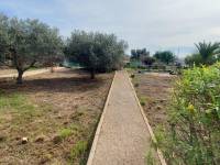 Пляж / Перепродажа - V - Elche pedanias - Peña las Aguilas