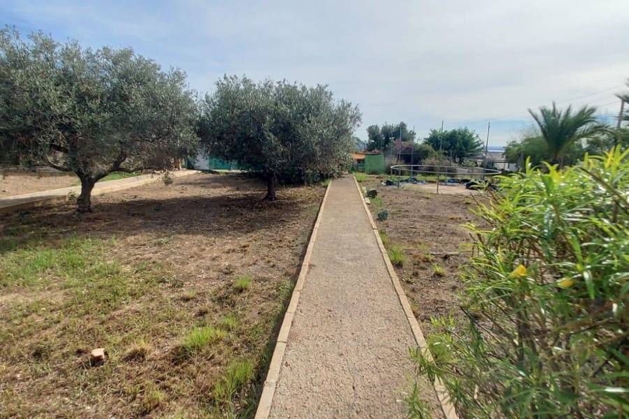 Пляж / Перепродажа - V - Elche pedanias - Peña las Aguilas