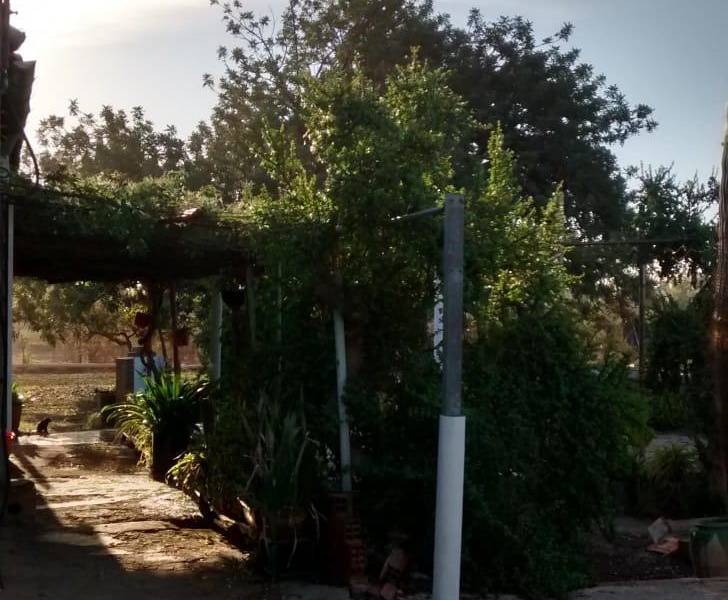 Пляж / Перепродажа - h - Matola - Algoda-Matola-Llano de San José