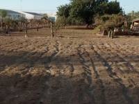 Пляж / Перепродажа - h - Matola - Algoda-Matola-Llano de San José