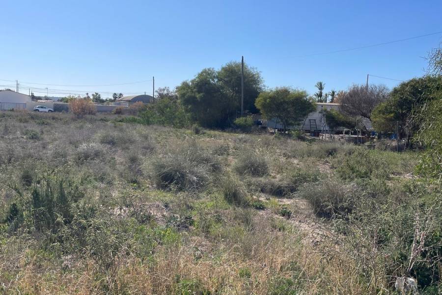 Playa/Reventa - c - La hoya - La Hoya-Daimes-El Derramador