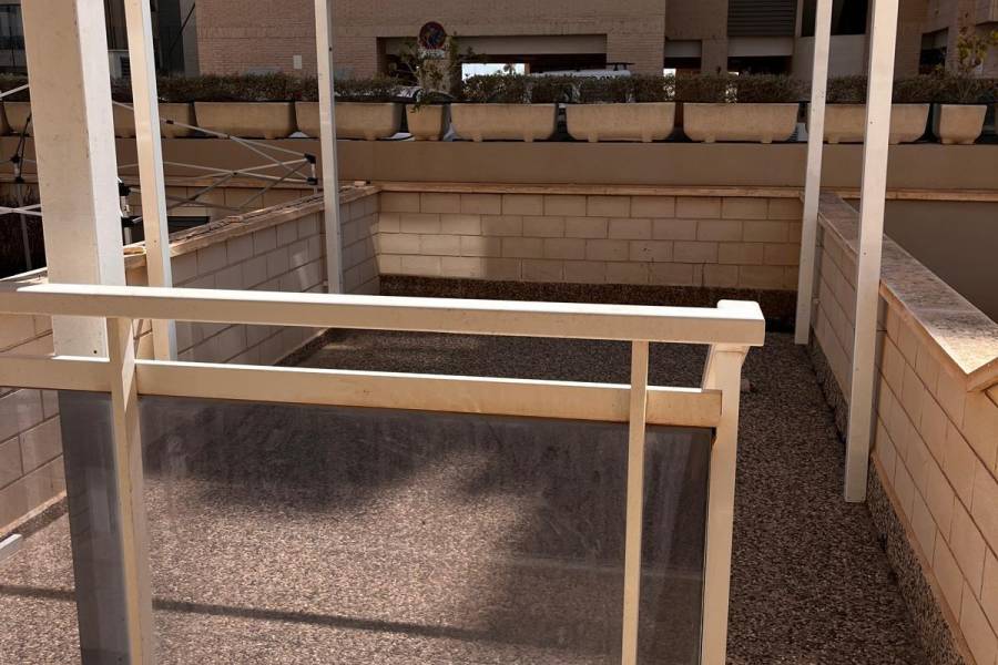 Playa/Reventa - D - Guardamar del Segura - PUERTO