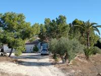 Beach/Resale - Country House - Elche - Saladas