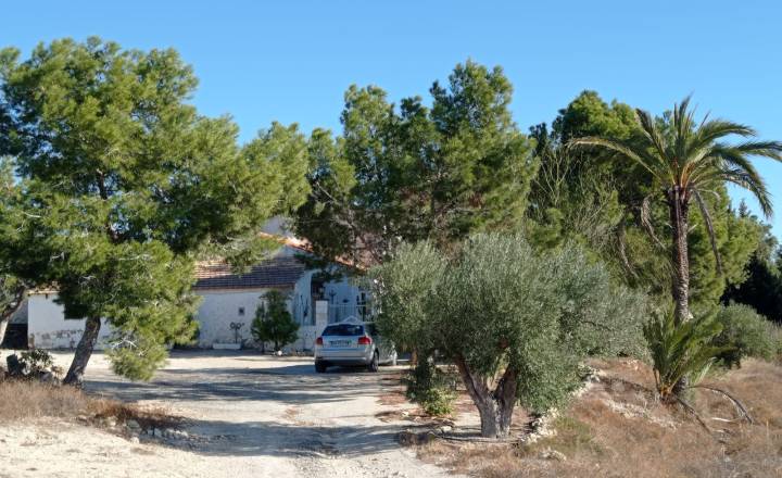 Country House - Beach/Resale - Elche - Saladas