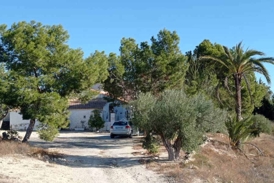 Beach/Resale - Country House - Elche - Saladas