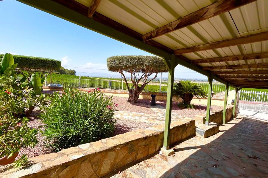 Playa/Reventa - V - Algorfa - La finca