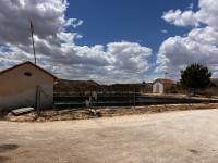 Weiterverkauf / Strand - c - Elche pedanias - TORRELLANO