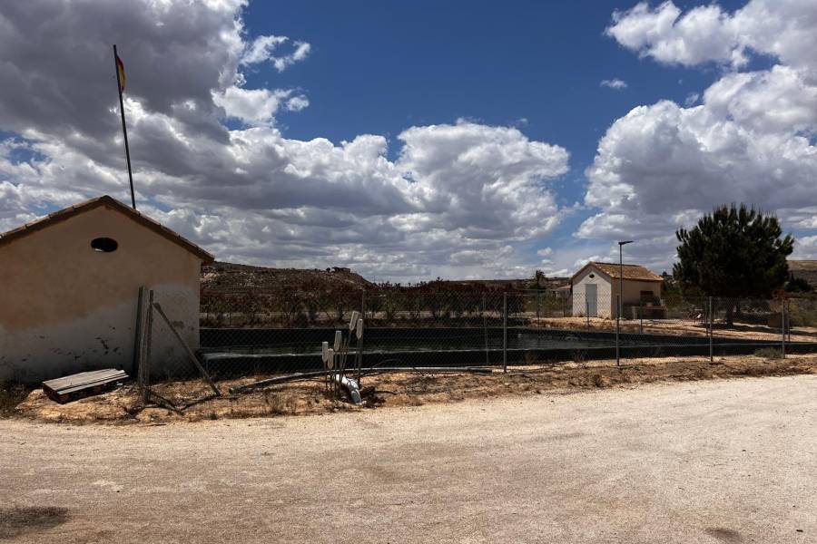 Weiterverkauf / Strand - c - Elche pedanias - TORRELLANO