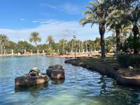 Beach/Resale - Apartment - Torrevieja - Parque las naciones