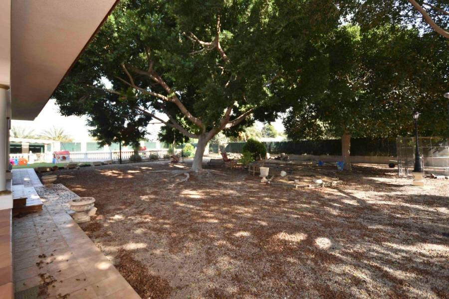 Пляж / Перепродажа - V - Orihuela - Camino Viejo de Callosa