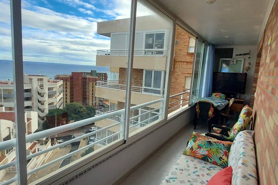 Playa/Reventa - A - Elche - Playa arenales del sol