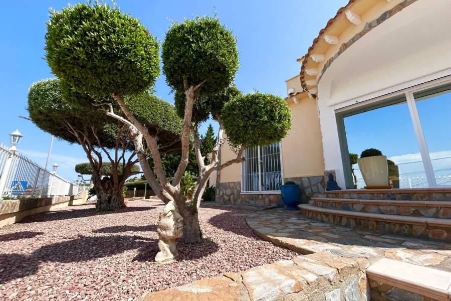 Playa/Reventa - V - Algorfa - La finca