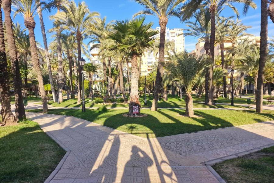 Beach/Resale - Apartment - Torrevieja - Playa Los Locos