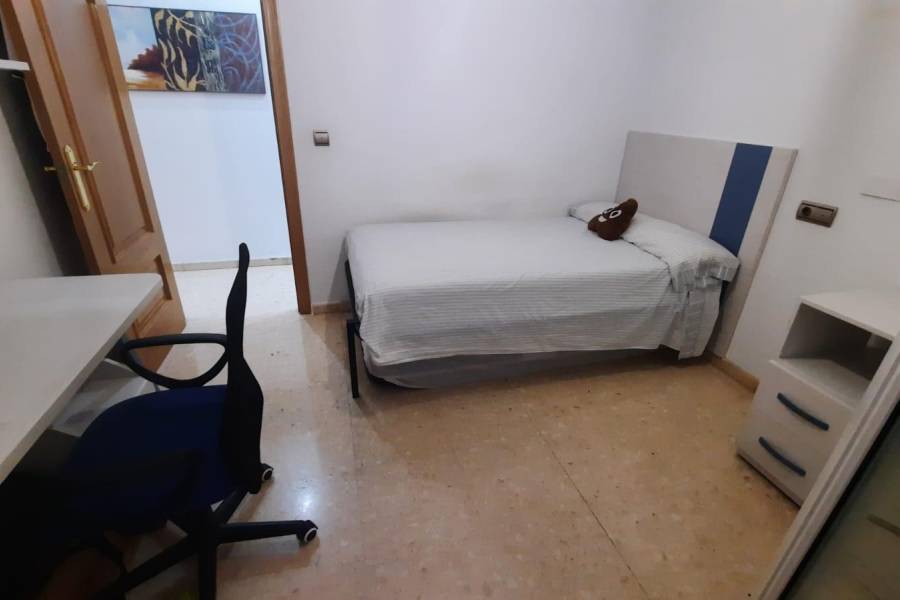 Plage-Mer / Occasion - G - Elche - Plaza Madrid